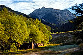 Parco Naturale Fanes-Senes-Braies. La traversata da San Vigilio di Marebbe al lago di Braies, 
lungo la salita verso il Passo Croce.